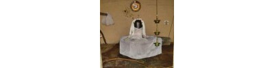 215. திருநெல்வாயில் அரத்துறை